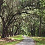 Escape from New York Socialism: Fed up with NYC? Discover Daufuskie Island, a Carolina refuge of freedom, faith, and fried flounder.