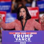 The Lawyers Blew It: NY-11 redistricting implodes after lawyers fail, letting Marc Elias win in Manhattan court and steal Malliotakis’ seat.