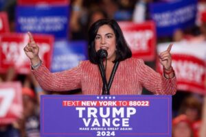 The Lawyers Blew It: NY-11 redistricting implodes after lawyers fail, letting Marc Elias win in Manhattan court and steal Malliotakis’ seat.
