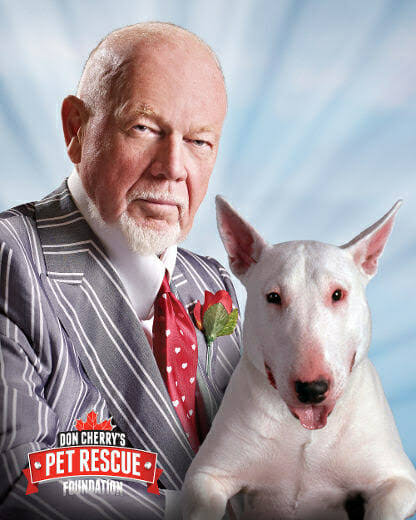 The Grit That Endures: Don Cherry and the Hard-Nosed Code of Yesteryears